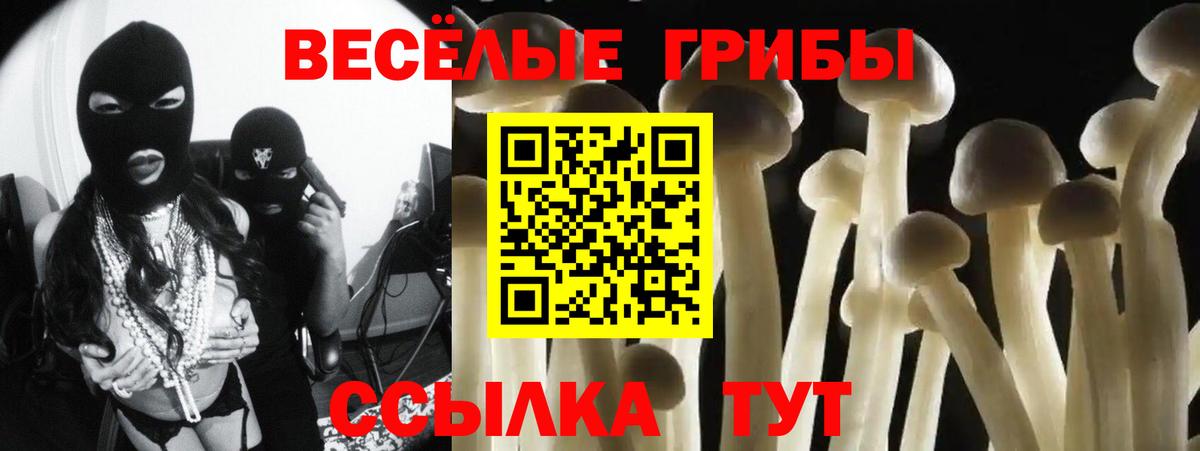 Трёхгорный  даркнет сайт  Вход с VPN  Псилоцибиновые грибы ЛСД  Галлюциногенные грибы Psilocybe 