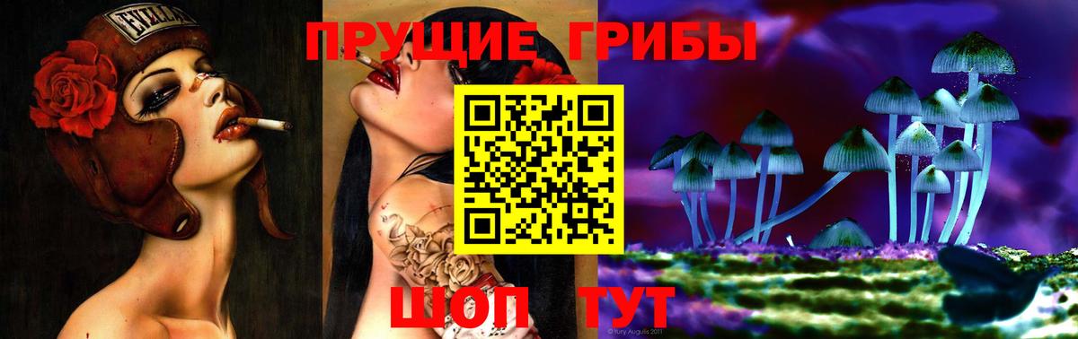 Псилоцибиновые грибы прущие грибы Трёхгорный